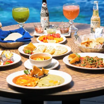 Maya Tulipanes Express