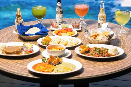 Maya Tulipanes Express