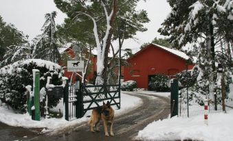 Tenuta Agricola Fonte di Papa