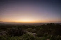 Elewana Serengeti Pioneer Camp - 3 estrellas