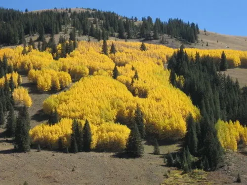 Georgetown Mountain Inn