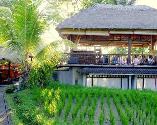 Prashanti Bali بالقرب من الفندق Photos