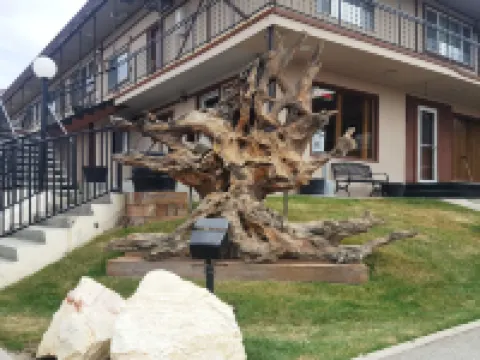 Bristlecone Motel Hoteles en Ely