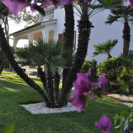 Le Duchesse Rooms and Events