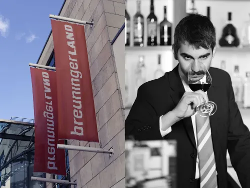 Mercure Hotel Stuttgart Sindelfingen an der Messe Leisure & Recreation Photos