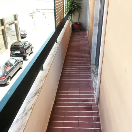 Lemon Tree Apartments