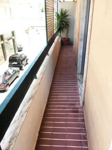 Lemon Tree Apartments