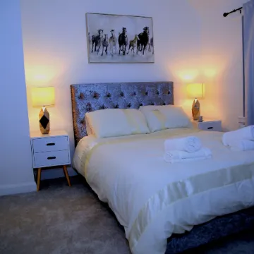 A Modern, Comfy Newly Remodeled 2Bd House