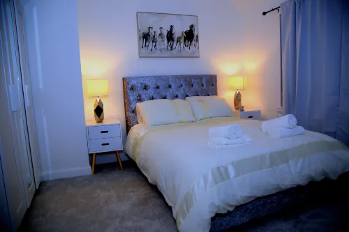 A Modern, Comfy Newly Remodeled 2Bd House