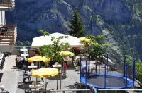 Hotel Edelweiss Superior Hotels in Murren