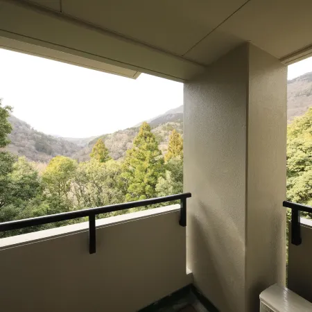 Hot Spring Inn Hakone Suisen