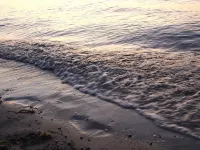 波爾的舒適海濱公寓