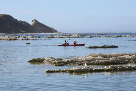 Beach front cottage Отели рядом с достопримечательностью «Point Kean Viewpoint»