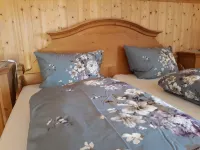 Cozy apartment, with Königscard centrally located in the Ammergau Alps Hotels in Bad Bayersoien