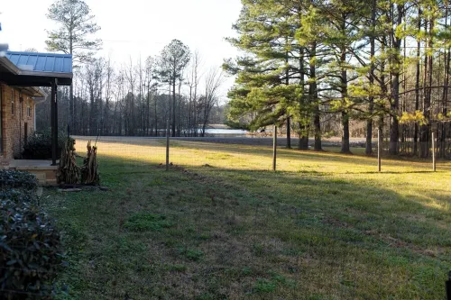 Cottage Nestled in Nature