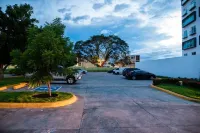 Luxury Apartment 마나과 호텔