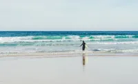 Atlantic Reach Cottage, Newquay.  Large 4 bed villa with leisure services & WiFi - Jacuzzi