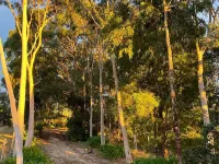Peace and serenity in the hills close to wineries Hotels in Forest Range