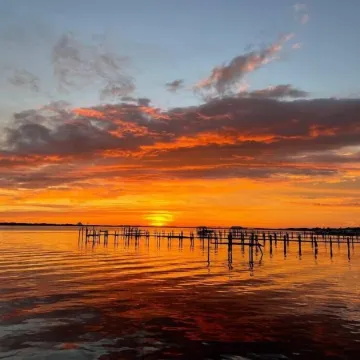 Blue Leisure A - Stuart - Studio