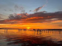 Blue Leisure A - Stuart - Studio