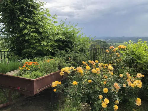 Agriturismo I Surì Asti