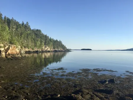 Secluded And Rustic Island Cabin On The Bold And Rocky Penobscot Bay Coast...