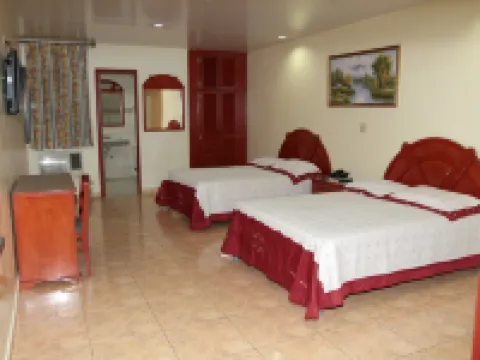 Hotel Alcalá Hoteles en David