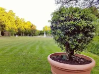 Hotel Garni Goldene Traube Hotel a Bad Windsheim