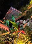 Subtropica Premium Suites - Mindo - Lodges