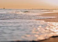 Wellness & Comfort Retreat - Beach