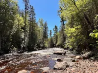 Elite End Unit Mtn/Pool View/Ski-In/Ski-Out