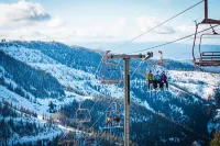 Live like an Executive & sleep like a King