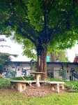 Sherwood's Country House - Villas