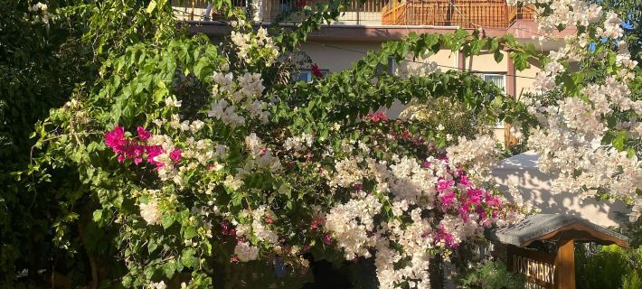 Rosemary Pansiyon Các khách sạn ở Kemer