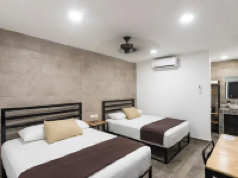 キャピタル ホテル サルティーヨ サルティーヨのホテル