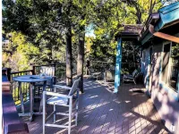 Relax with spectacular views @ Bear Dance Cabin