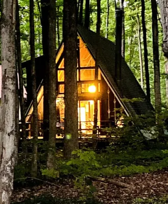 Beautiful Ski Chalet with Sauna near Harbor Springs