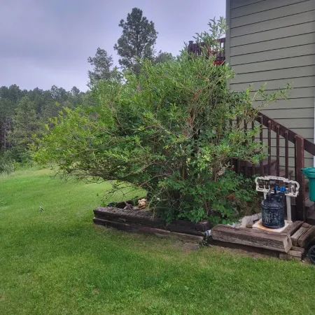 Beautiful & Comfy CABIN Retreat with abundant wildlife, WIFI and AC