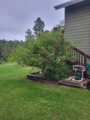 Beautiful & Comfy CABIN Retreat with abundant wildlife, WIFI and AC