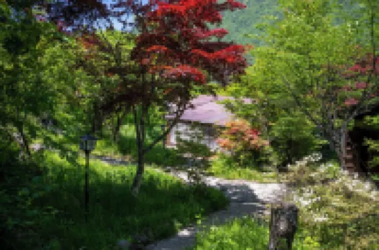 旅館　焼乃湯（やけのゆ） 新穂高ロープウェイ周辺のホテル