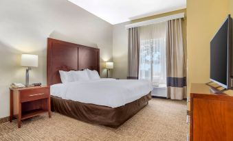 Comfort Suites Montgomery East Monticello Dr