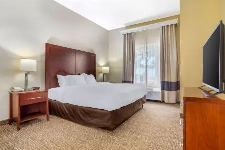 Comfort Suites Montgomery East Monticello Dr Отели рядом с достопримечательностью «Монтгомери Музеум оф Файн Артс»