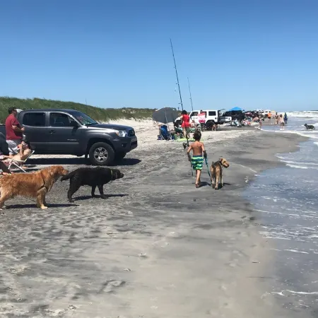 GORGEOUS BEACH HOUSE IN BRIGANTINE! ENJOY BEACH, CASINOS>BRING YOUR DOG