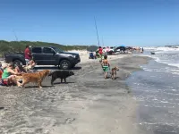 GORGEOUS BEACH HOUSE IN BRIGANTINE! ENJOY BEACH, CASINOS>BRING YOUR DOG