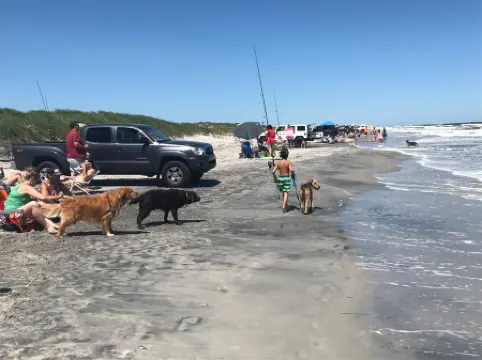 GORGEOUS BEACH HOUSE IN BRIGANTINE! ENJOY BEACH, CASINOS>BRING YOUR DOG