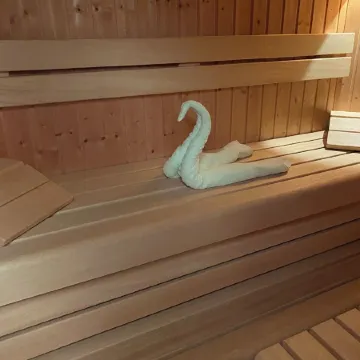 Luxurious house with winter garden, Finnish sauna, wood-burning stove Schnett-Masserberg