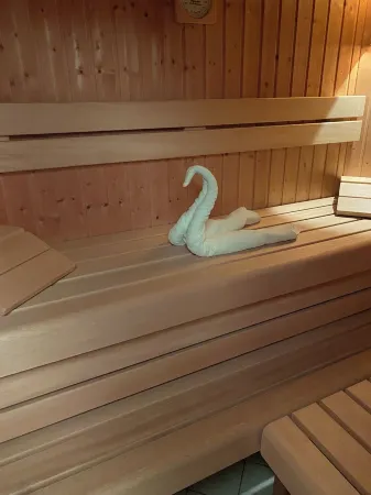 Luxurious house with winter garden, Finnish sauna, wood-burning stove Schnett-Masserberg