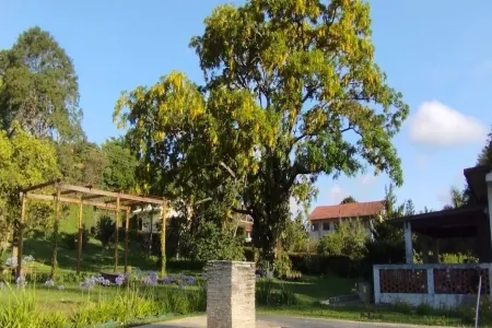 Farm - Cotia - 3 km from Animalia Park - pets allowed