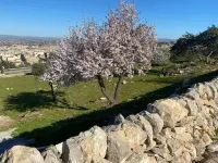 ancient rural house, nature and tranquility Hotel di Comiso