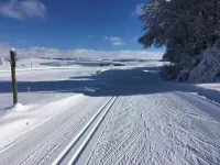 Warm and functional chalet, completely renovated فنادق في Curieres